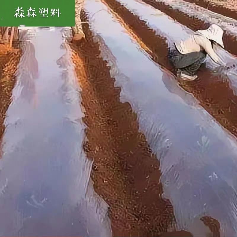 一次性塑料农用地膜种菜除草加厚装修薄膜地面保护膜包邮