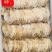 真食膳烧烤手撕芥末鱿鱼规格件圆鱿批发