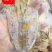 真食膳烧烤手撕芥末鱿鱼规格件圆鱿批发