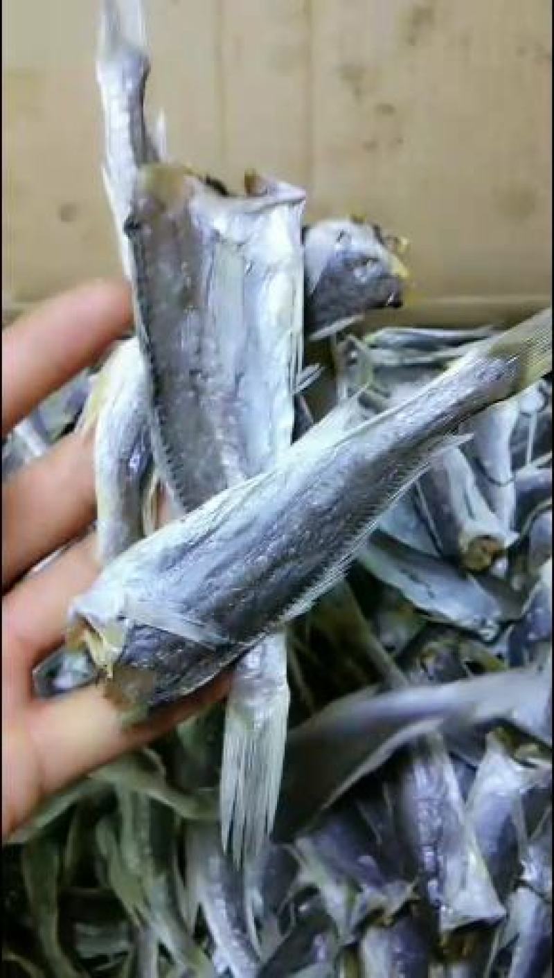 小尤鱼干龙头鱼干去头去内脏