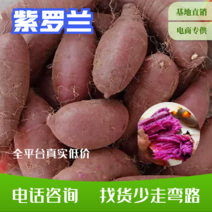 电商紫薯紫罗兰紫薯产地直销颜色鲜艳皮毛光滑
