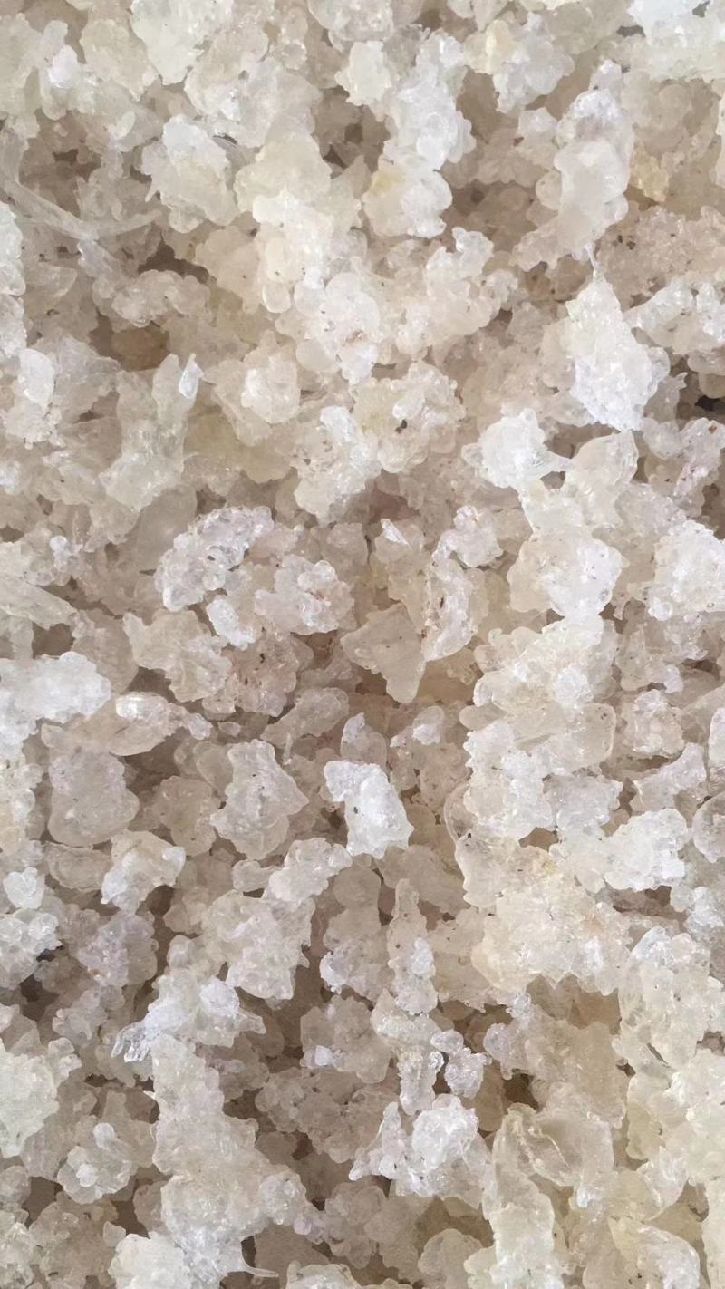 雪燕，大货批发，昆明现货