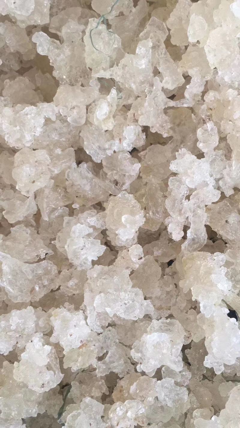 雪燕，大货批发，昆明现货