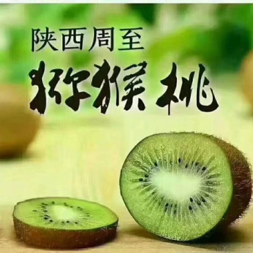陕西绿心猕猴桃现摘现发