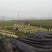 岑软系列2号3号原生油茶苗出售，基地直销