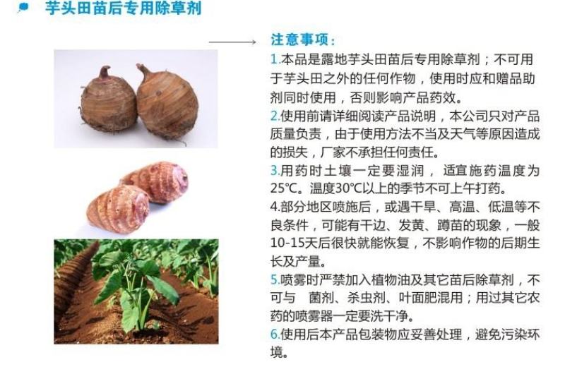 青岛现代芋酷芋头魔芋木薯苗后田地槟榔芋香芋苗后除草组合
