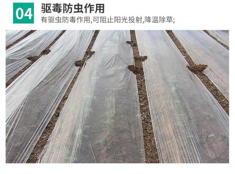 加厚塑料布塑料薄膜大棚膜透明封窗保温防水防尘膜养殖膜包邮