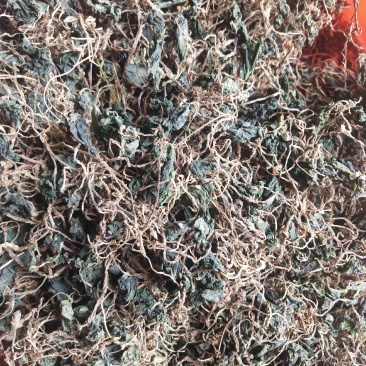 包邮青天葵，半边莲，半边伞，新货，无杂质，全干。