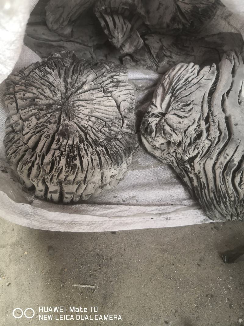 烧烤木炭工业木炭木炭批发木炭厂家