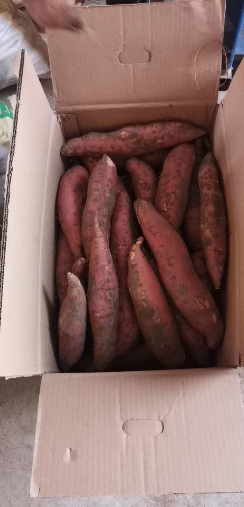精品烟薯25红薯蜜薯冰糖心正宗沙地北方流油红心地瓜番薯