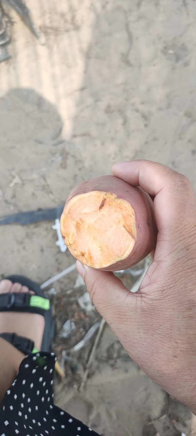 精品烟薯25红薯蜜薯冰糖心正宗沙地北方流油红心地瓜番薯