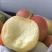 『陕西嘎啦苹果』头茬新鲜苹果脆甜皮薄多汁应季水果整箱一件
