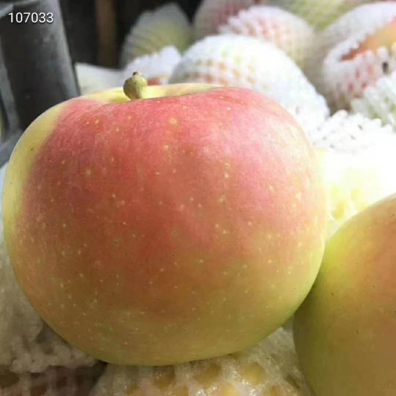 『陕西嘎啦苹果』头茬新鲜苹果脆甜皮薄多汁应季水果整箱一件