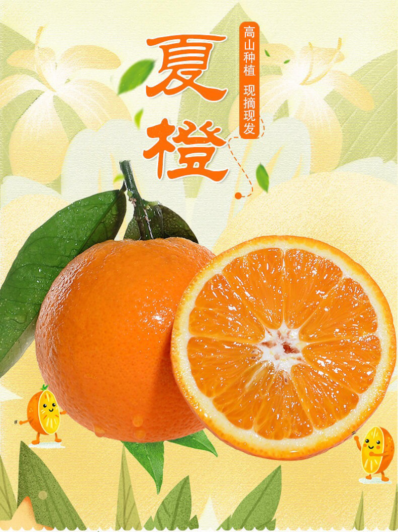 广西桂林夏橙外贸出口泰国，马来西亚东南亚国家