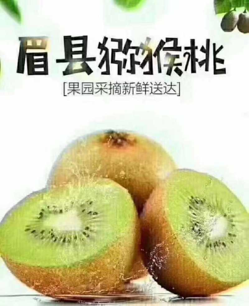 陕西省宝鸡市眉县俆香猕猴桃