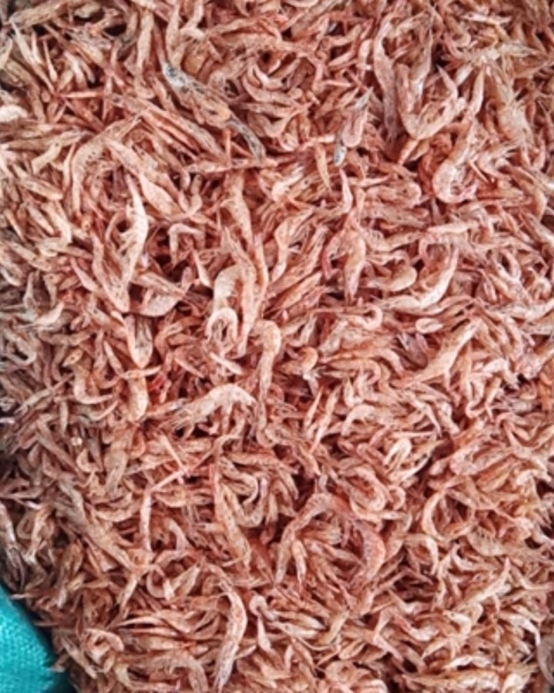 水产饲料，干虾，冻虾