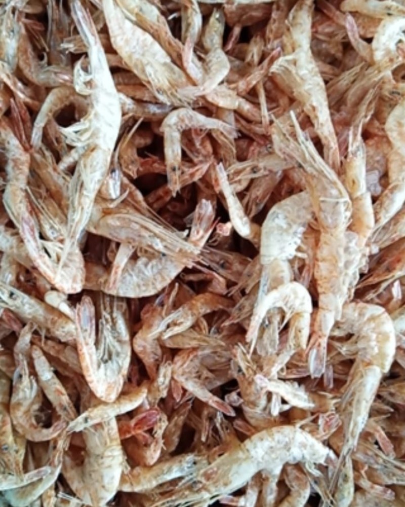 水产饲料，干虾，冻虾