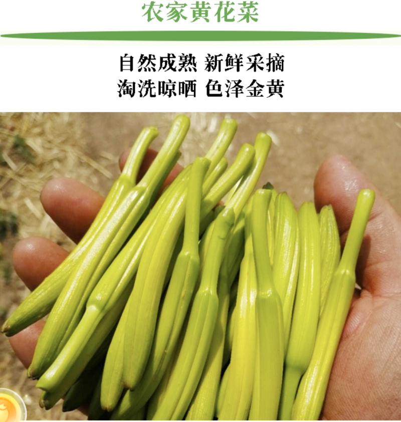 无硫熏农家日晒黄花菜