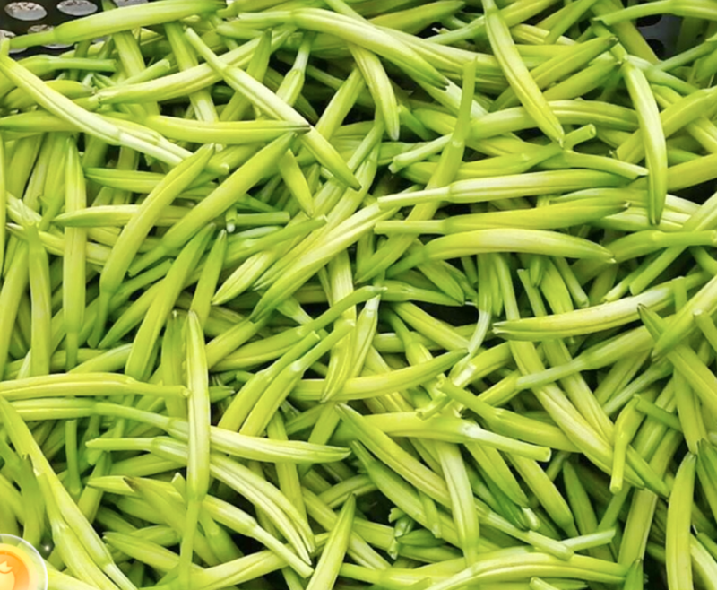 无硫熏农家日晒黄花菜