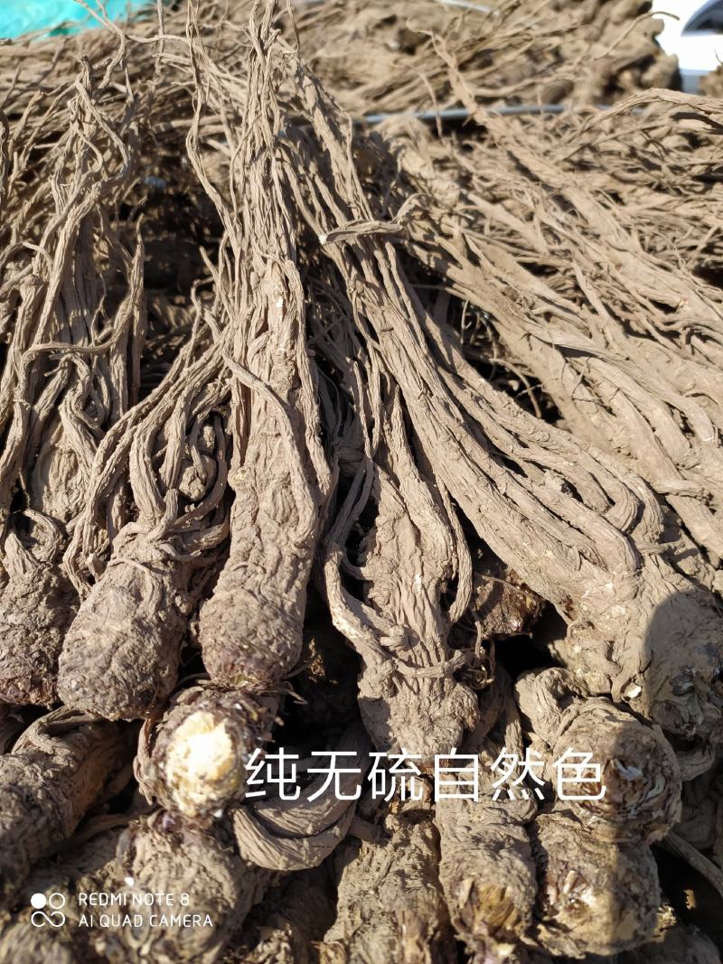 当归岷当归马尾归无硫原条黑高含量品质优新货大量现货供应