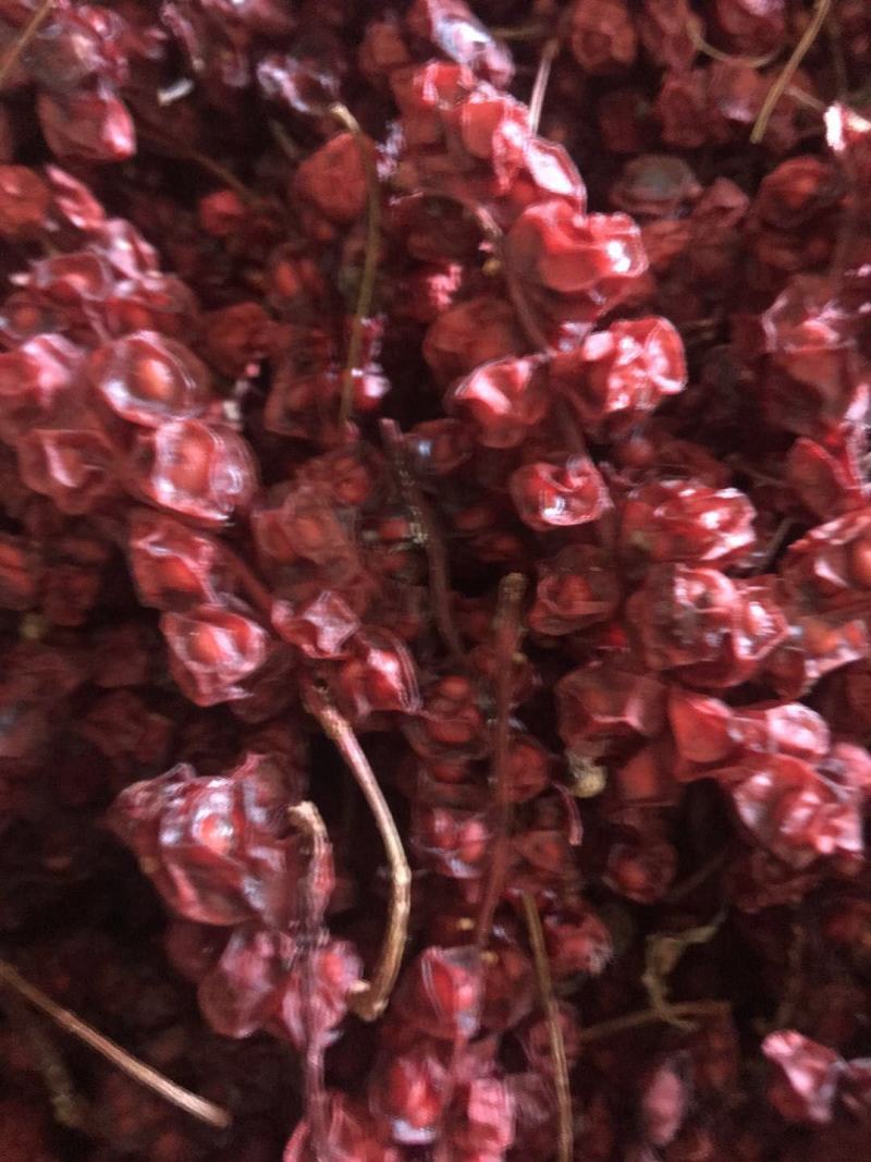 出售优质北五味子果，粒大饱满，纯油果，保证质量