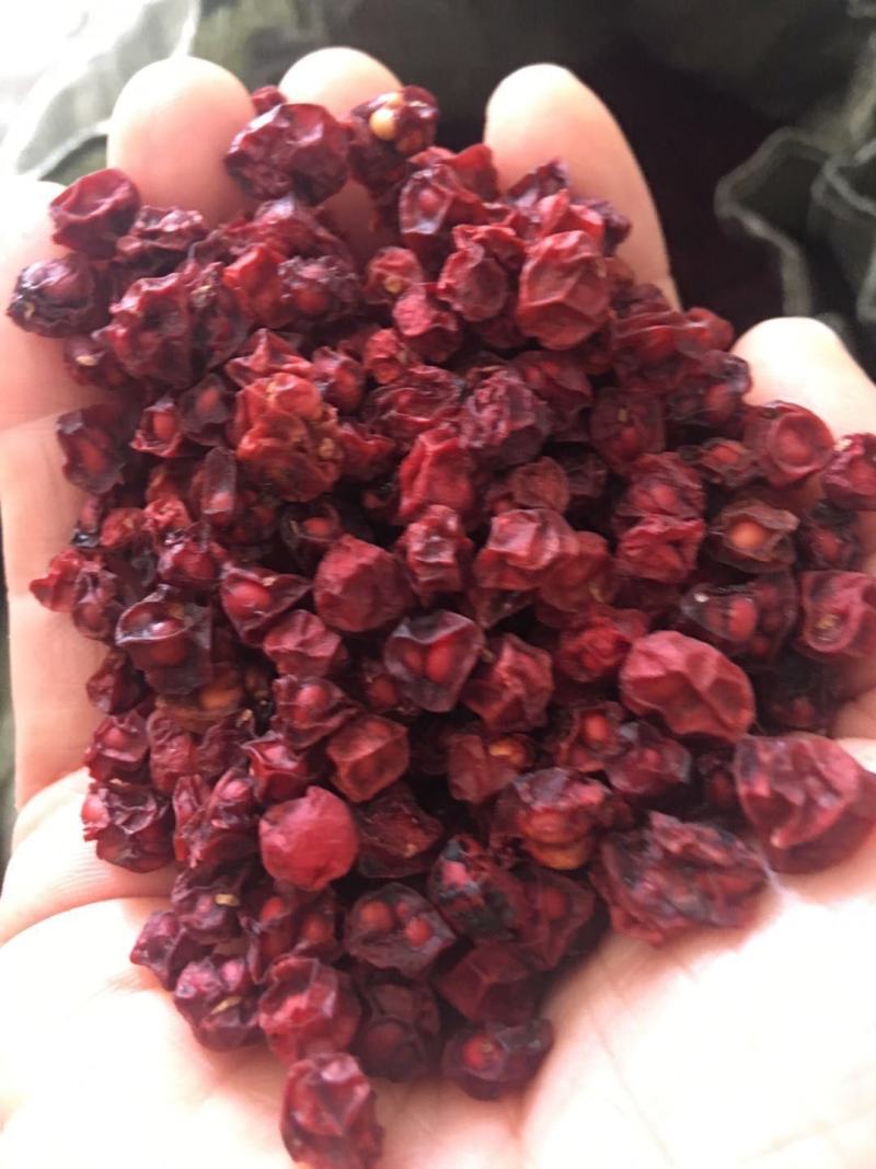 出售优质北五味子果，粒大饱满，纯油果，保证质量