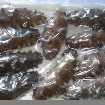 辽参，即食海参！每袋10只每个一两以上每袋215元！包邮
