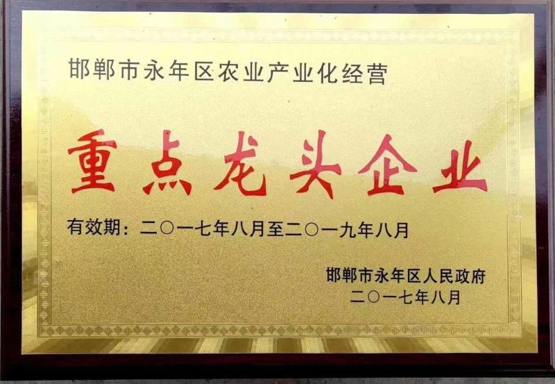（厂家直供）柑橘专用肥适用于脐橙，沃柑，甜橙，奶橘