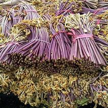 鱼腥草和野生蕨莱精品大米