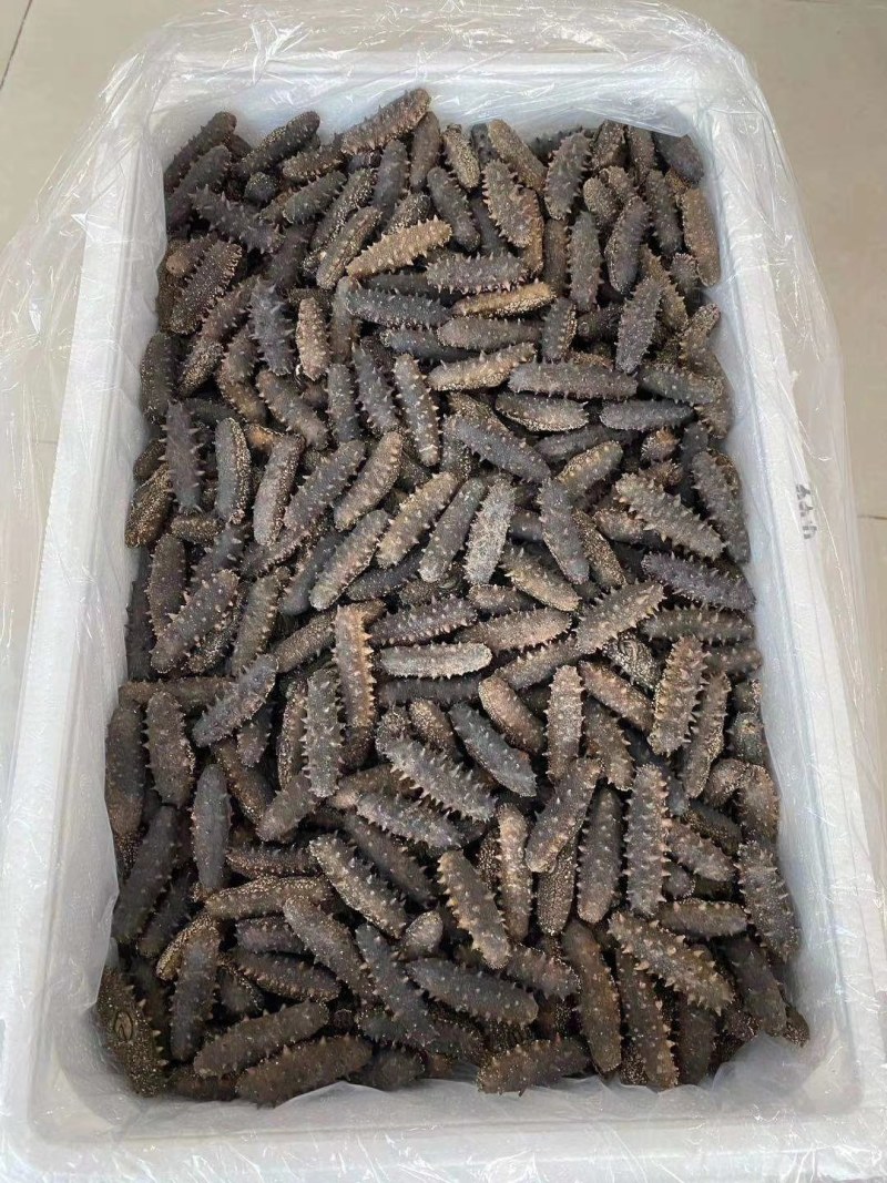 朝鲜淡干海参！特价！1150每斤！40头包邮