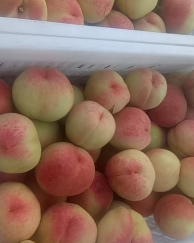 脆甜大久保桃可视频看货。