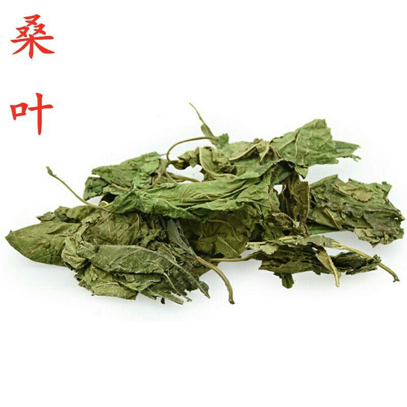 中药材桑叶霜桑叶冬桑叶新货包邮