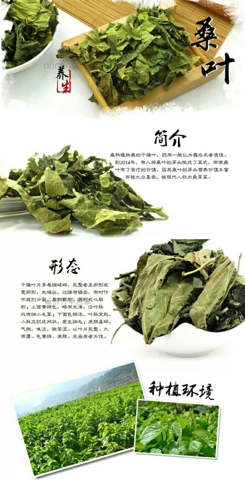 中药材桑叶霜桑叶冬桑叶新货包邮