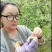 巴旦木树苗又叫美国大杏仁树苗