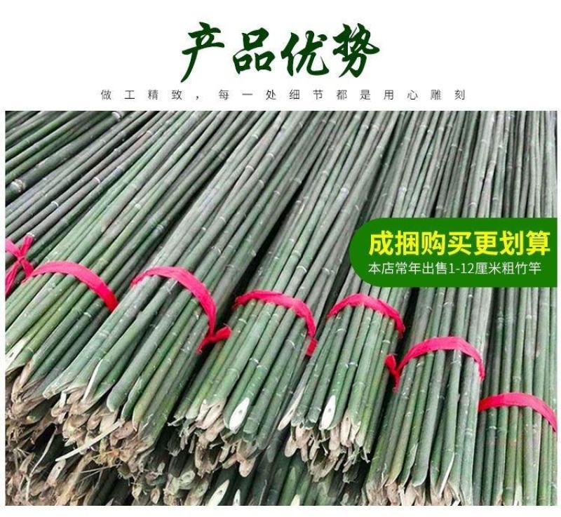 各种规格细竹竿子菜园搭架篱笆豆角竹竿旗竹杆跳舞竹竿包邮