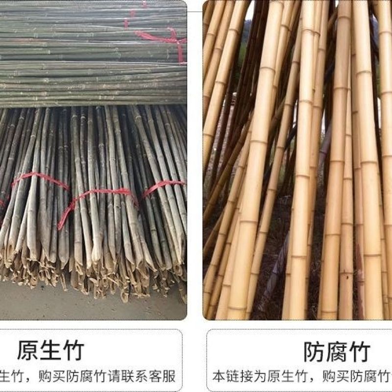各种规格细竹竿子菜园搭架篱笆豆角竹竿旗竹杆跳舞竹竿包邮