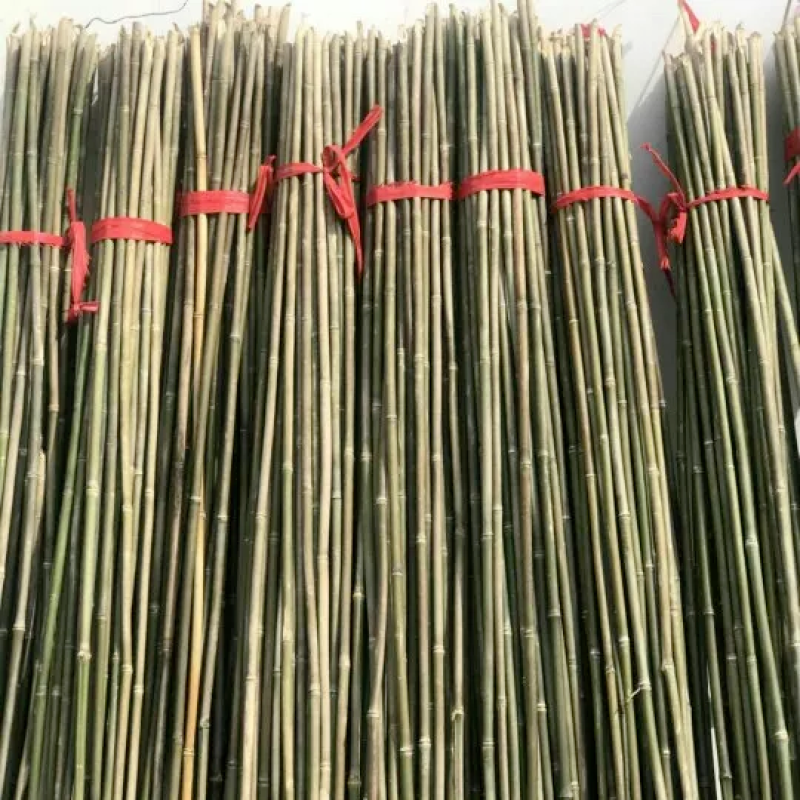 各种规格细竹竿子菜园搭架篱笆豆角竹竿旗竹杆跳舞竹竿包邮