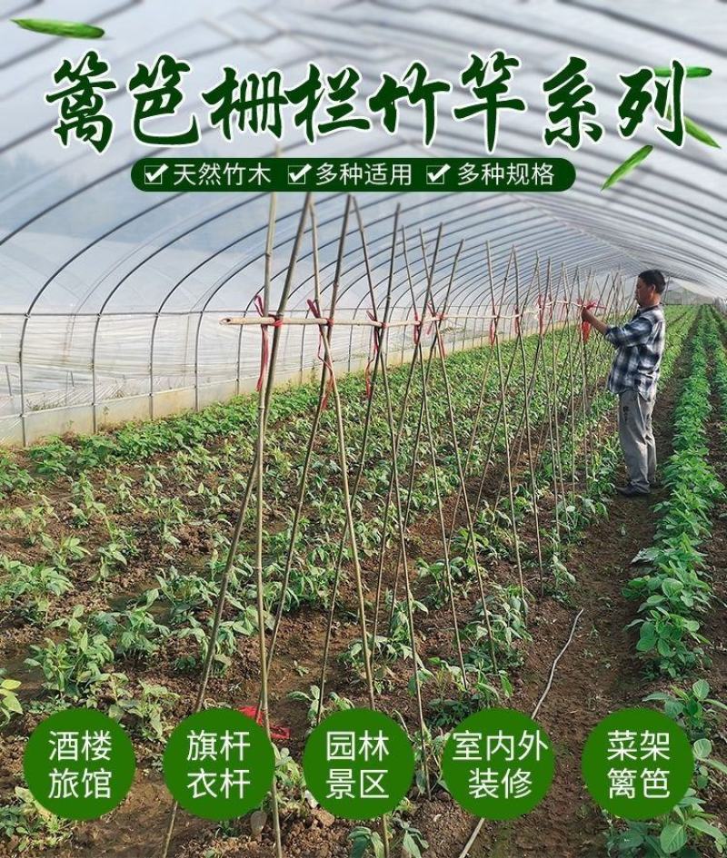 各种规格细竹竿子菜园搭架篱笆豆角竹竿旗竹杆跳舞竹竿包邮