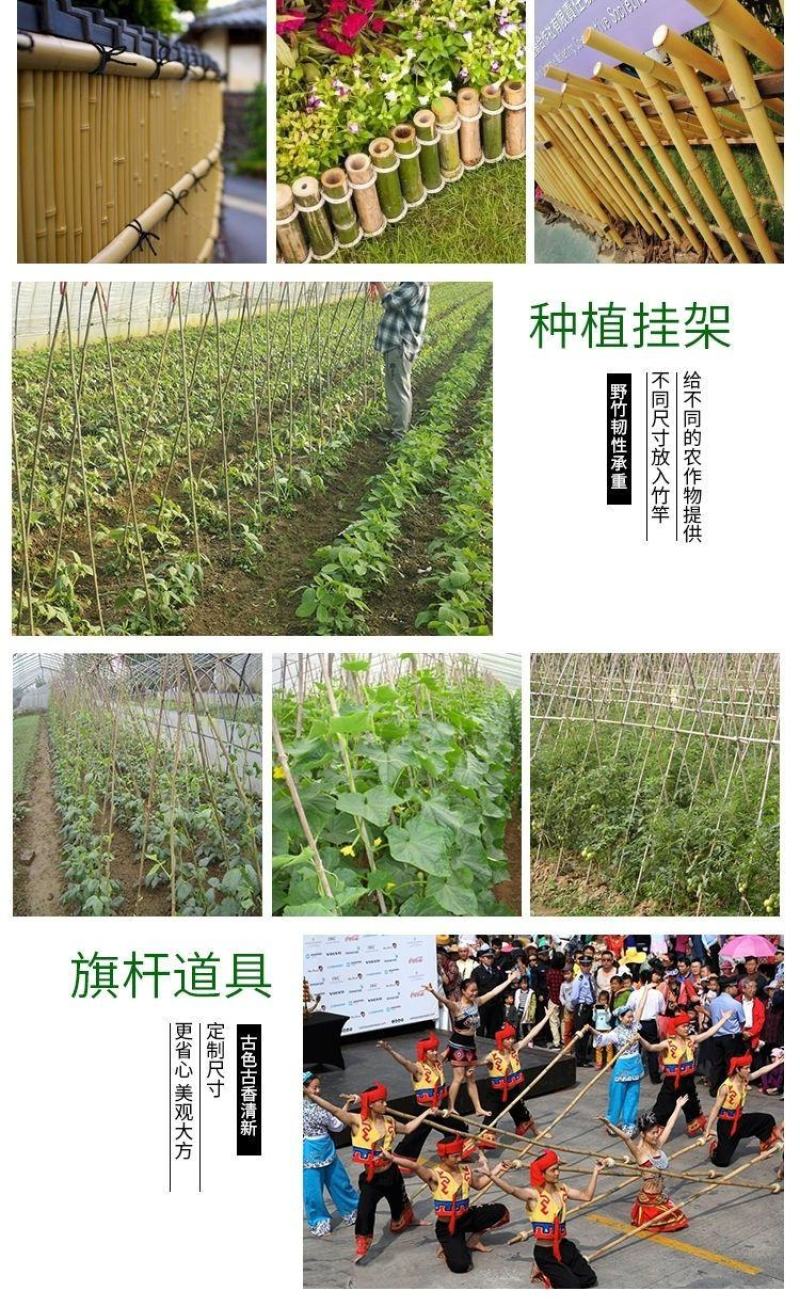 各种规格细竹竿子菜园搭架篱笆豆角竹竿旗竹杆跳舞竹竿包邮