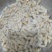 野生马蜂，可活体发活，油炸。，冷冻发活，
