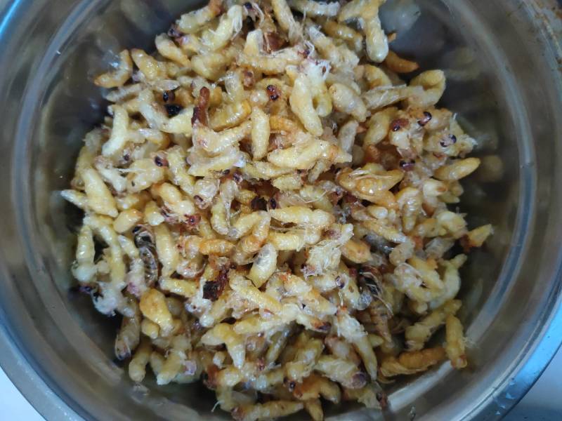 野生马蜂，可活体发活，油炸。，冷冻发活，