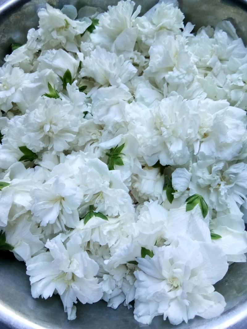 中药材木槿花白花重瓣木槿花干正品饮用