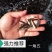 草鱼苗广草苗免费提供养殖技术欢迎来电视频看货