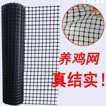 防护网养殖网漏粪网塑料网果园围网菜园网隔离网玉米网鱼围网