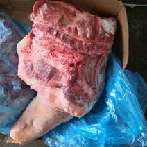猪前腿肉，一吨起批，量大，实物拍摄，保质保量