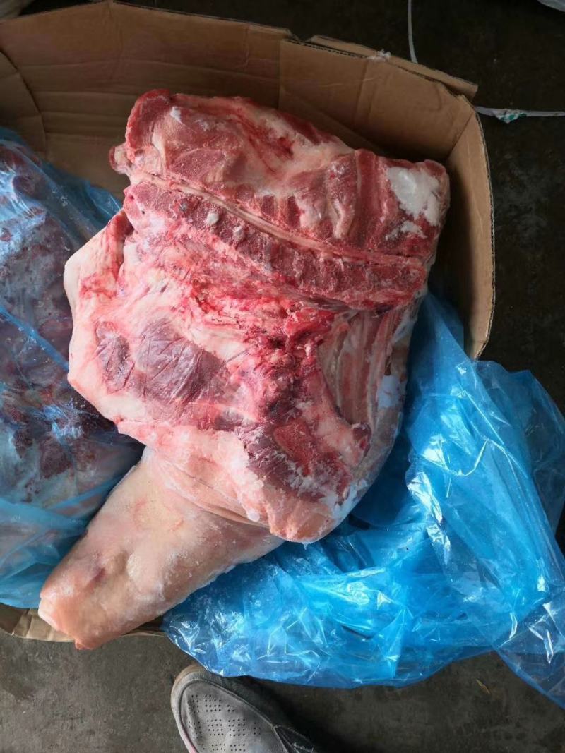 猪前腿肉，一吨起批，量大优惠，实物拍摄，保质保量