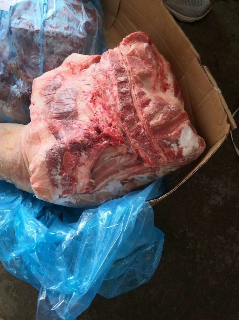 猪前腿肉，一吨起批，量大优惠，实物拍摄，保质保量