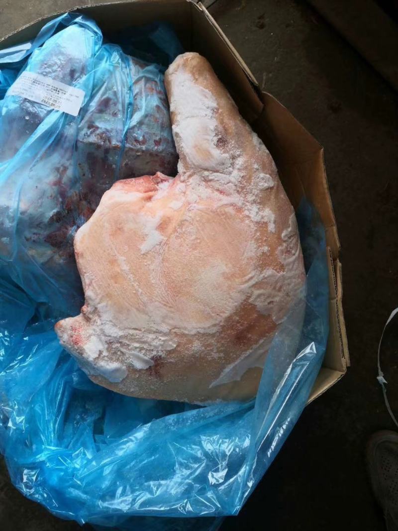 猪前腿肉，一吨起批，量大优惠，实物拍摄，保质保量
