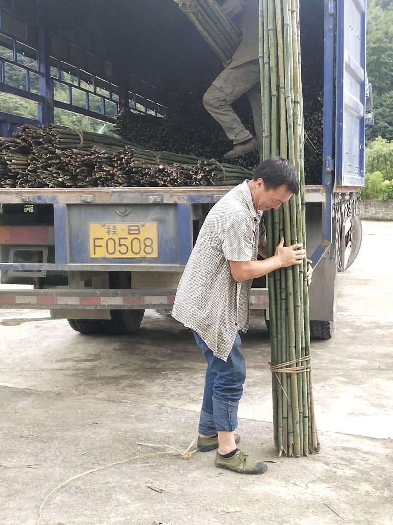 各种规格竹子大量供应，质量保证，供货急时，等有需要的老板