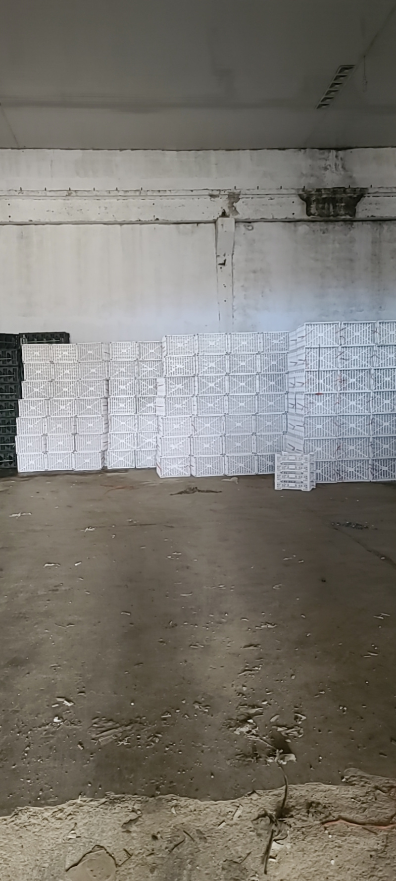 【热卖】塑料筐厂家直发大量批发一手货源量大从优